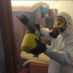 Уничтожение клопов в квартире. Нижний Тагил